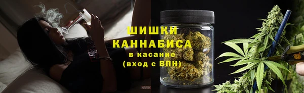 прущие грибы Арсеньев