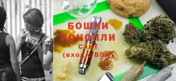 прущие грибы Арсеньев