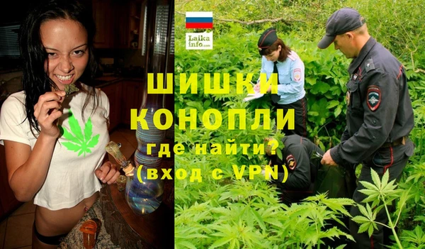 прущие грибы Арсеньев