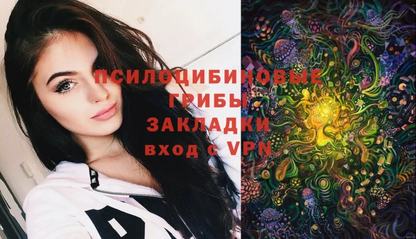 прущие грибы Арсеньев