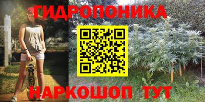 скорость Берёзовский