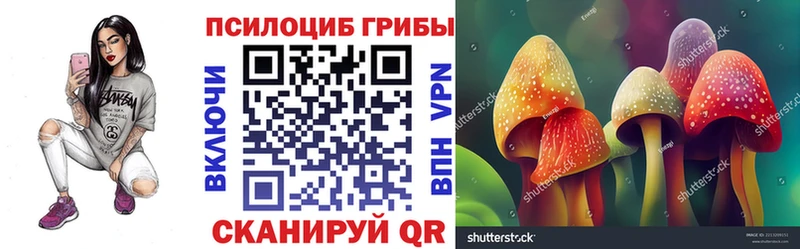 Псилоцибиновые грибы MAGIC MUSHROOMS  Вятские Поляны 