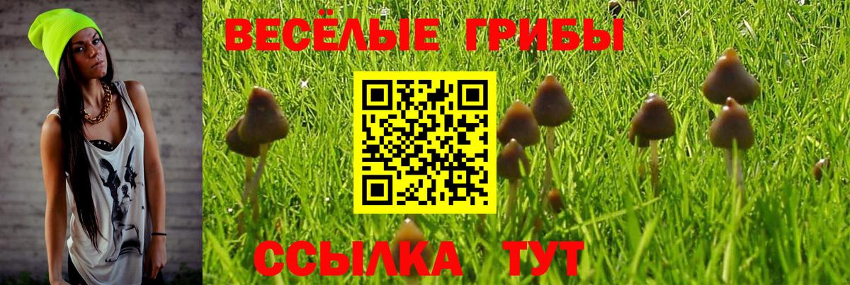Псилоцибиновые грибы Psilocybine cubensis  Галлюциногенные грибы Magic Shrooms  Вятские Поляны 