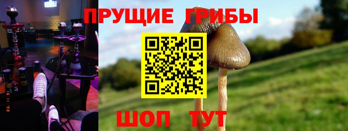 Псилоцибиновые грибы GOLDEN TEACHER Вятские Поляны