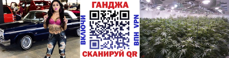 Конопля Bruce Banner  мега tor  Вятские Поляны  где продают  
